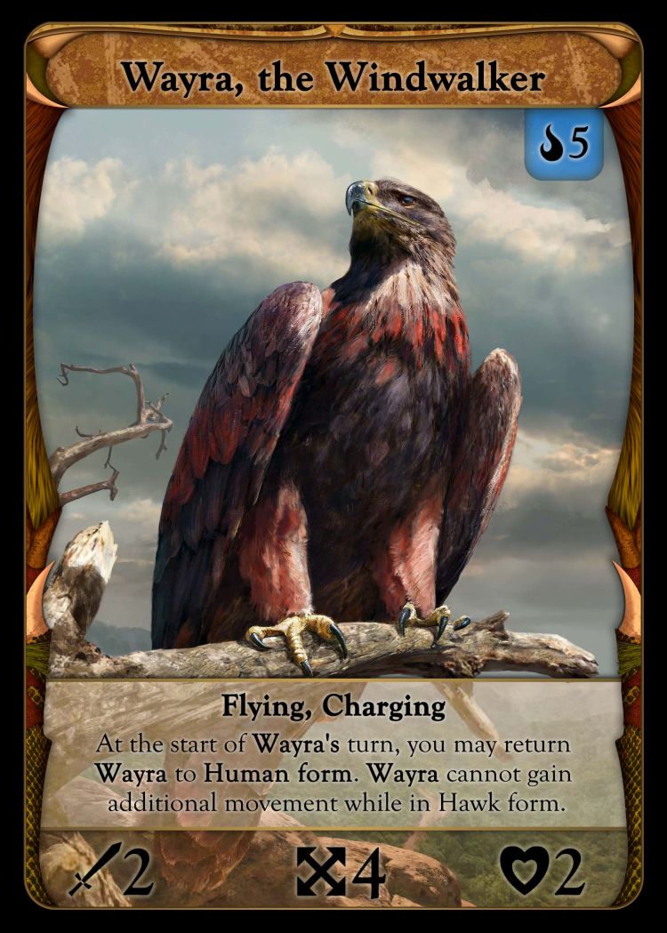 Wayra Hawk Form